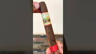 CIGAR ASMR | 🍂 New World A.J. Fernandez 🔥💨 #shorts #asmr #cigar #cigarsociety
