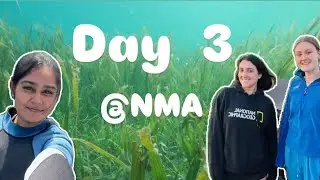 Day 3 @NMAPlymouth |UK|Plymouth| National Marine Aquarium 