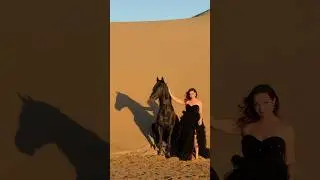 My Dream photoshoot ✨ in Essaouira Morocco with Ph My Dream Agency 👑 #horse #photoshoot #dream