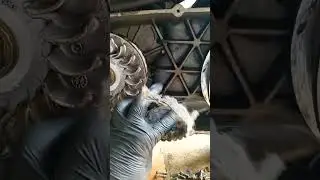 cuando no cambias la correa de tu scooter a tiempo