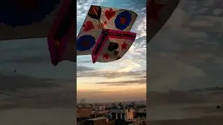 Basant 2K25 😍❤️✌️ #shorts #kiteflying #kite #youtubeshorts