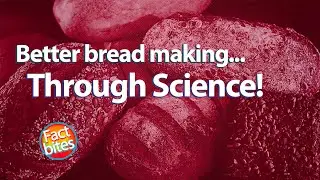 Let's Bake! The Science Behind AMAZING Homemade Bread
