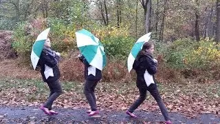 Fall, Break, and Cameras