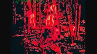 Von Goat - Septic Illumination (2010) - 06 Syringes