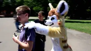 Fursuitwalk Karlsruhe -  June 2017