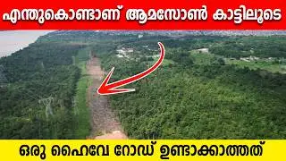 ആമസോൻ കാട്ടിലൂടെ ഒരു ഹൈവേ | Amazon Rainforest Facts in Malayalam #malayalam #facts #earthfacts