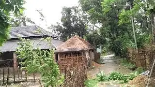 cyclone yass in Balasore