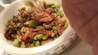 Stouffer&rsquo;s Fit Kitchen Teriyaki Chicken # The Beer Review Guy