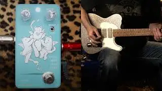 ПЕДАЛЬ ЖИВОТНЫХ Angel Bear Face Fuzz pedal demo - Suhr tele - Revv D20
