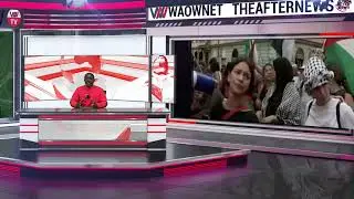 Pro Palestine Protests in Italy