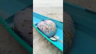 Small fishing boat with fishing net