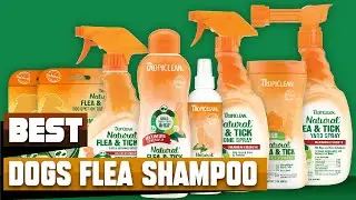 Best Flea Shampoo For Dog In 2025 - Top 10 Flea Shampoo For Dogs Review