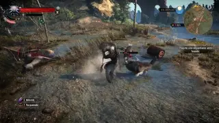 The Witcher 3 NewGamePlus