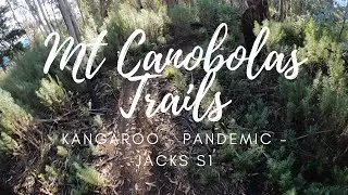 Mt Canobolas trails - Orange NSW.