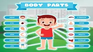 Body Parts Name for kids | preschool learning for toddlers | kids learning video 