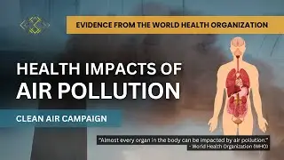 Health Impacts of Air Pollution: Evidence from the World Health Organization (WHO)