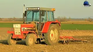 🚜Farming Day - Tractor International 844S Tractor in Acțiune/Action in Roșiori Bihor - 05 April 2021