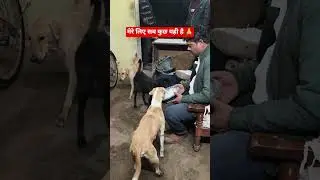 Mere liye sab kuch yahi hai #dog love