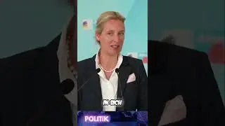 Die Brandmauer gegen die AfD offenbart viel Alice Weidel AfD #bundestag #afd