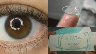 Siesta Clear Weekly Lenses Review (discount danica10)