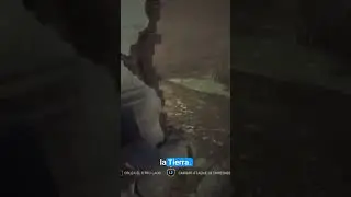 steve jumpscare #dbd #dbdclips #dbdespa&ntilde;ol #dbdlatam #dbdmatches #dbdgameplay #dbdmemes