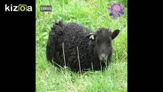 Mike Feezy-TILTED (Prod. CashMoneyAp) [2018]