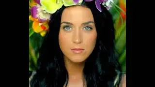 Katy Perry - Roar ( cover songs)