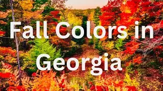 Fall colors tour in Georgia