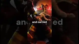 Firefighter Body Cam Shows Dog Receiving Oxygen After House Fire #dogrescue #fire #shorts #fyp