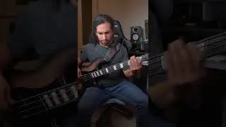 Jessie | Couch | Bass Cover #dingwall #bassguitar #basssound #bassguitartuning