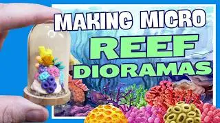 How to Make a Micro Miniature Coral Reef!
