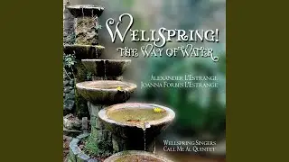 Wells of Salvation