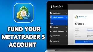 How To Fund Your MetaTrader 5 Account 2024 | Deposit Money To MT5 Guide