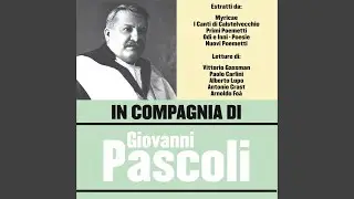 La mia sera