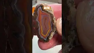 Those COLORS!! 😱 | Malawi Agate Reveal #cutting #rocks #agate #rockhounding #shorts