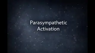 Overstimulated Nervous System Reset |  Parasympathetic Activation | Rest & Digest Mode