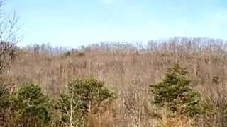 Homes for Sale - Lot 2A Brian Bluff Trail Hiawassee GA 30546 - Diane Baggett