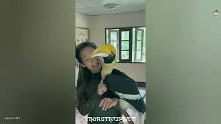 Mommy, there's a monster! 😺 Funny video with dogs, cats and kittens! 🐈 🌙 Funniest Animals 2025