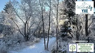 A white forest pauses time.  Nature&rsquo;s Drummers