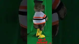 Owl SPOTSOUND.CA Mascot Costume Halloween Suit Carnival Advertising Party Cosplay