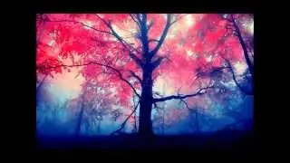 Mac Gyver / PupaJim / Rootystep - Commando