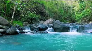 Peaceful River Stream & Forest Sounds for Sleep, Relaxation, Meditation | 12H White Noise
