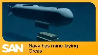 US Navy has pod of mine-laying Orcas