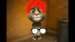 Funny Cat Video