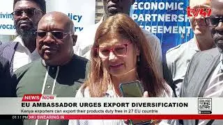 UN ambassador urges export diversification