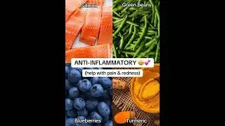 #dog #doghealth #dogfood #dognutrition #cat #pet #dogowner #petfood #toxicfood #toxicfoodsfordogs