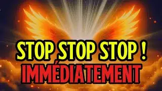 ÉLU : Stop ! Écoutez maintenant ce message Capital