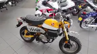 2019 Honda Monkey @ Tracy Motorsports