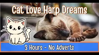 3 Hours of Cat Love Harp Dreams | Soothing Harp & Bubbles for Kitten Naps