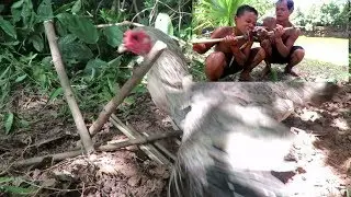 Survival skill: Primitive Bird Trap in the world - Meet chicken - Cooking - Eating Delicious #002